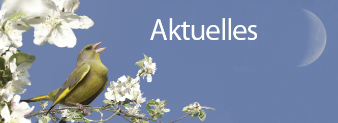 aktuelles