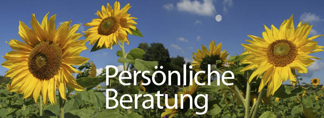 beratung